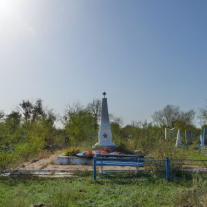 Братская могила советских воинов, погибших в период Сталинградской битвы, Котельниковский район, г. Котельниково, кладбище (1)