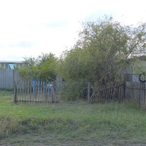 Братская могила советских воинов, погибших в период Сталинградской битвы, Фроловский район, х. Зимовский (1)