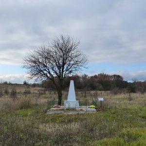 Могила летчика Шварца, погибшего в бою с фашистами, Алексеевский район, ур. Два Дерева (1)